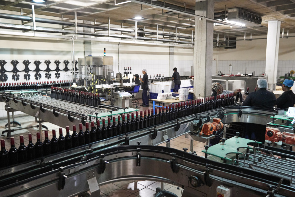 colleagues working in the bottling plant