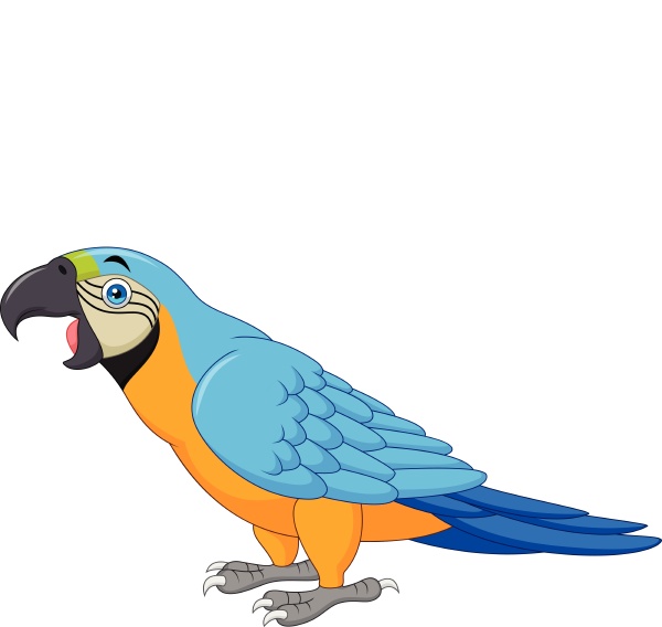 cartoon blue macaw