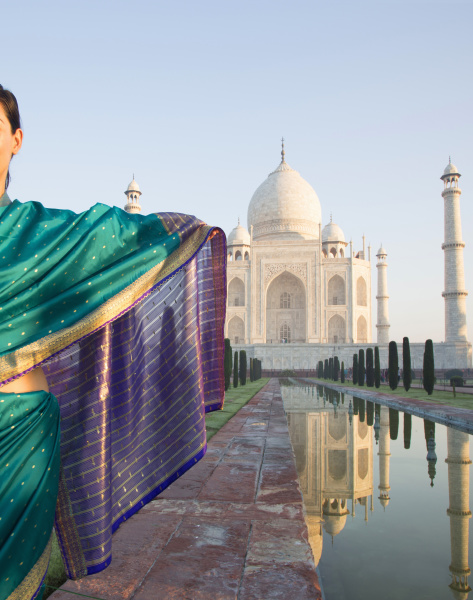 rear view of woman wearing sari