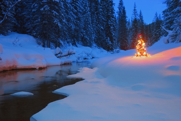 glowing christmas tree by mountain stream