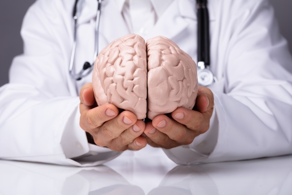 doctor in holding human brain model