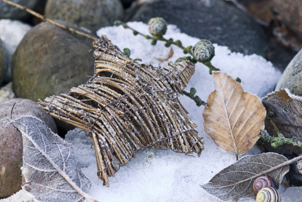 wicker leaf leaves frosty hoar frost