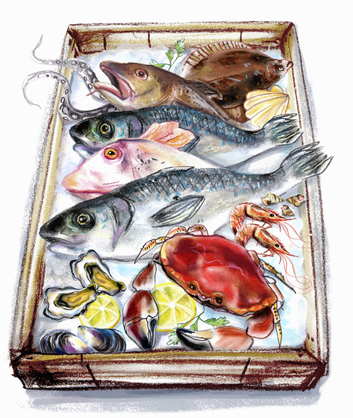variation of fish and seafood on