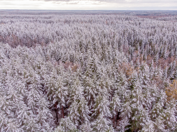 vinter landscape in the north of