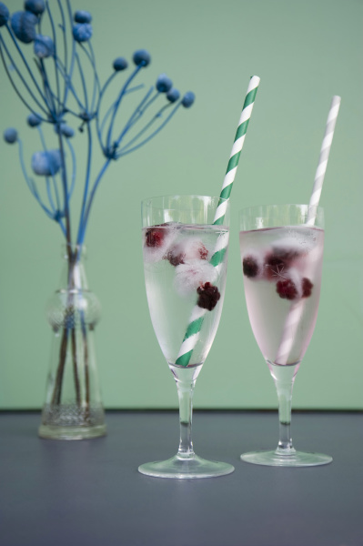 ice cubes with blackberries in champagne