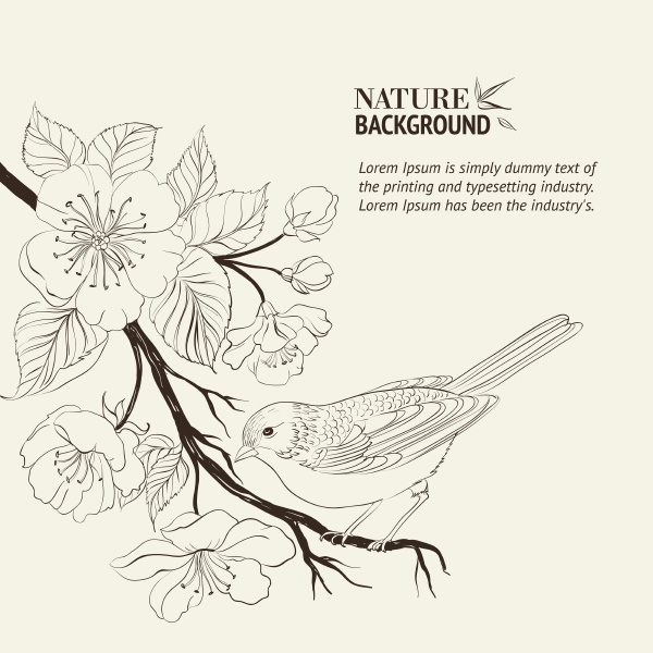 hand drawn bird on sacura branch