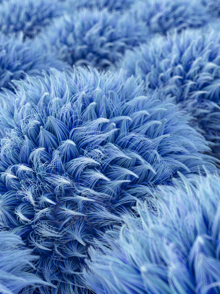 fluffy blue spheres 3d rendering