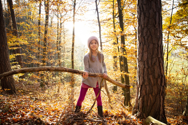 young girl holding branch in autumn
