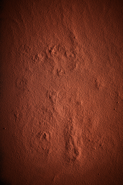 background texture of cocoa or chocolate