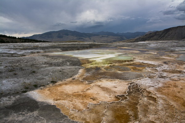 mammoth hot springs yellowstone national