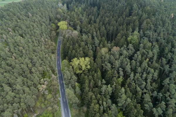 aerial view of road through forest
