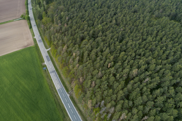 aerial view of road between forest