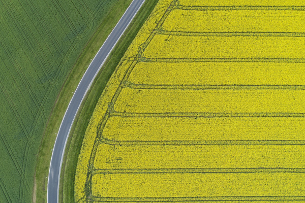 abstract aerial view of rural road