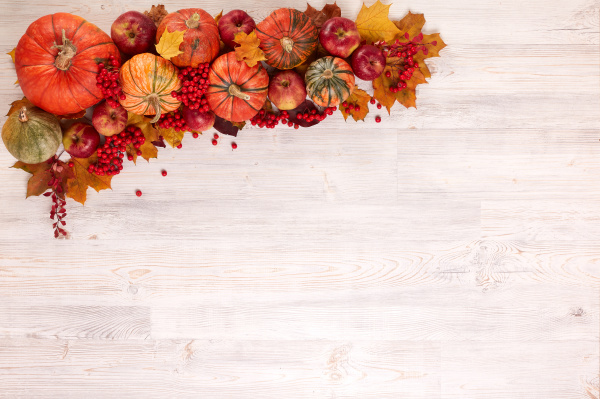 thanksgiving, background, , autumn, harvest - 27405650