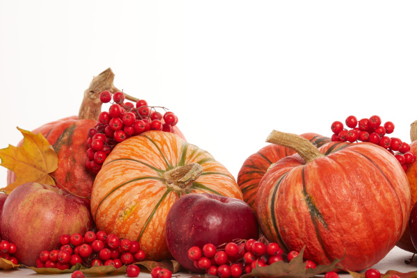 thanksgiving, background, , autumn, harvest - 27405654