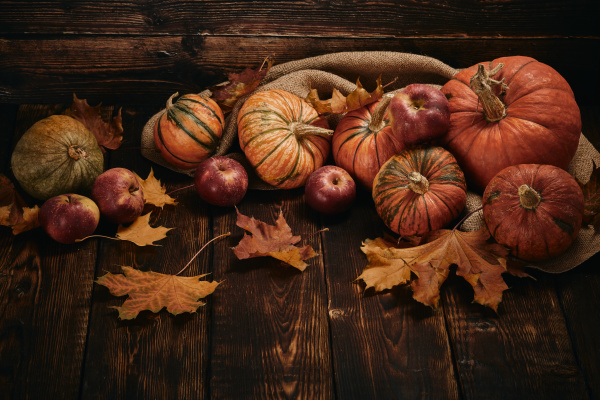 thanksgiving, background, , autumn, harvest - 27405709