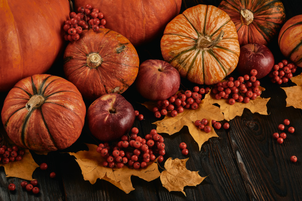 thanksgiving, background, , autumn, harvest - 27409095