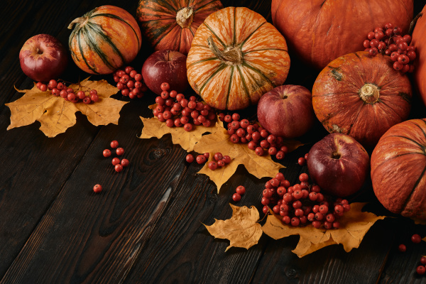 thanksgiving, background, , autumn, harvest - 27409096