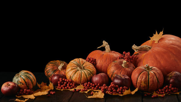 thanksgiving, background, , autumn, harvest - 27409104