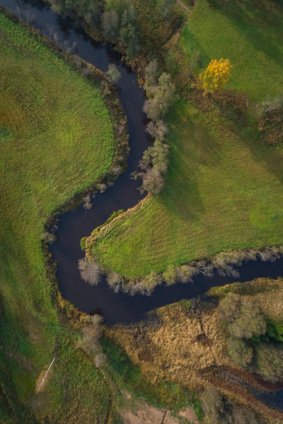 aerial view of river crossing forest