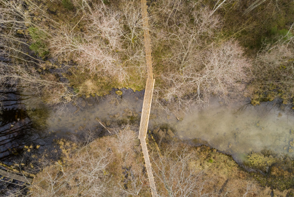 aerial view of bridge over suurallikas