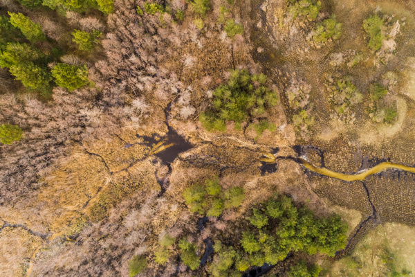 aerial abstract view of swamp area