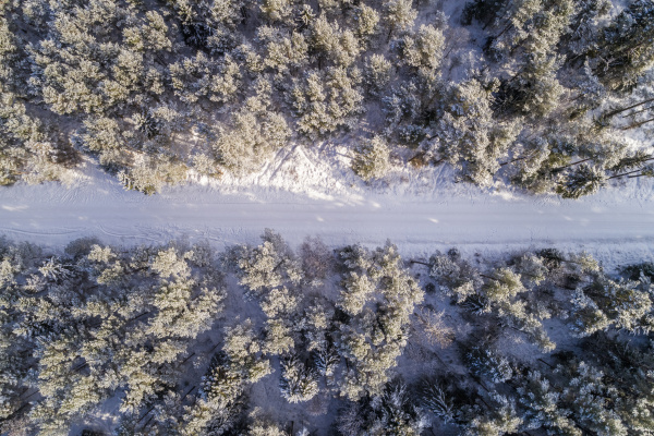 aerial view of a road covered