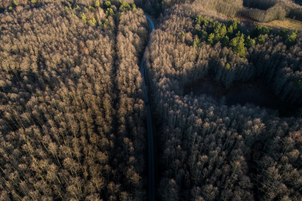 aerial view of an empty road