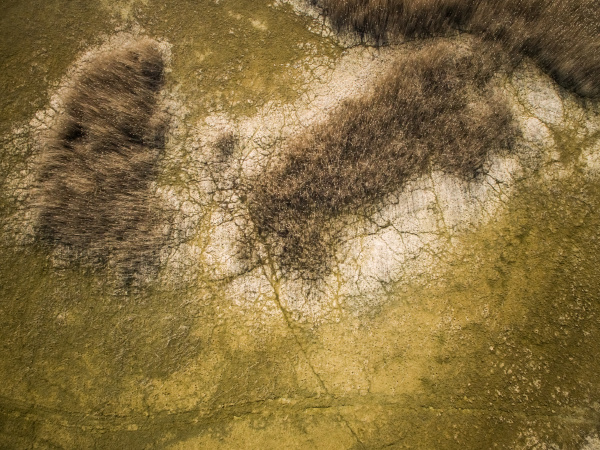 abstract aerial view of wetland landscape