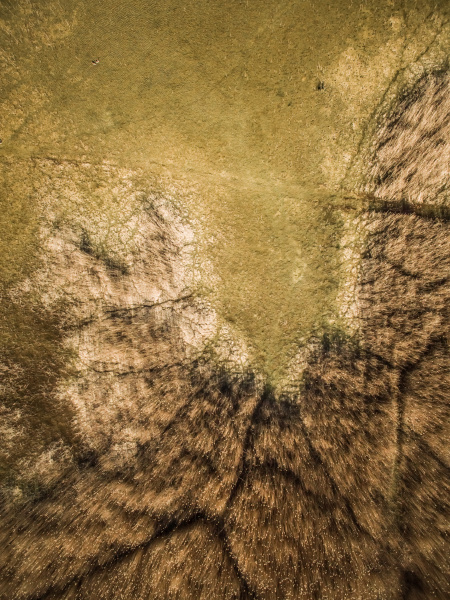 abstract aerial view of wetland landscape