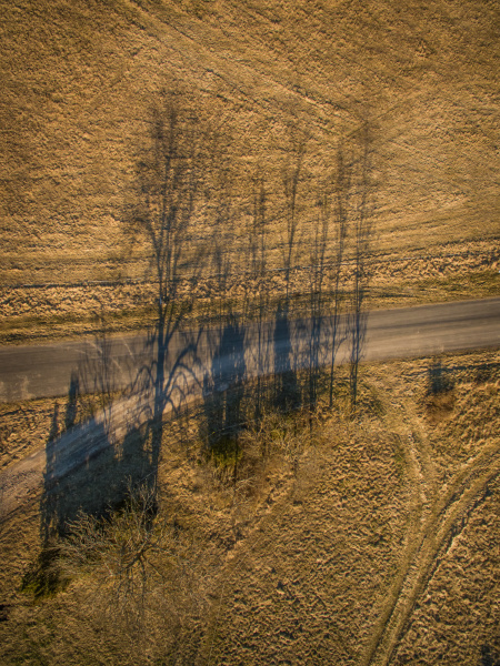 aerial view of trees shadow at