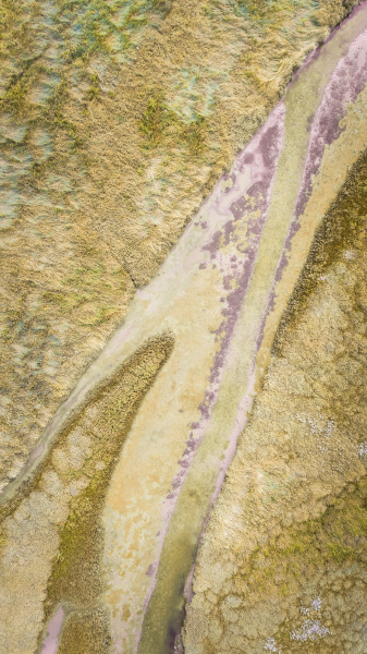 abstract aerial view of terschelling wetlands