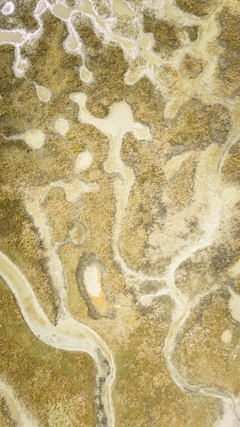 abstract aerial view of terschelling wetlands
