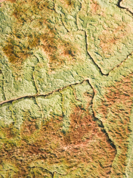 abstract aerial view of wetlands in