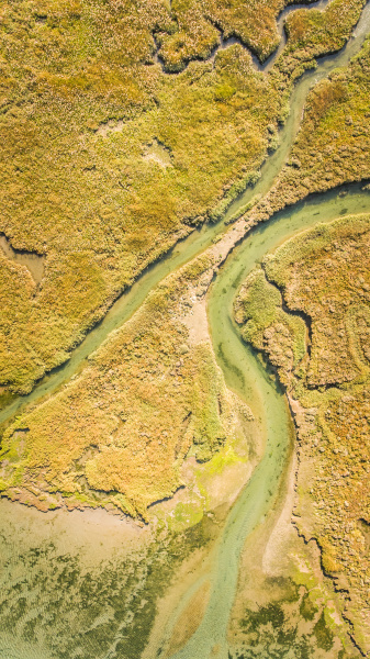 abstract aerial view of wetlands landscape