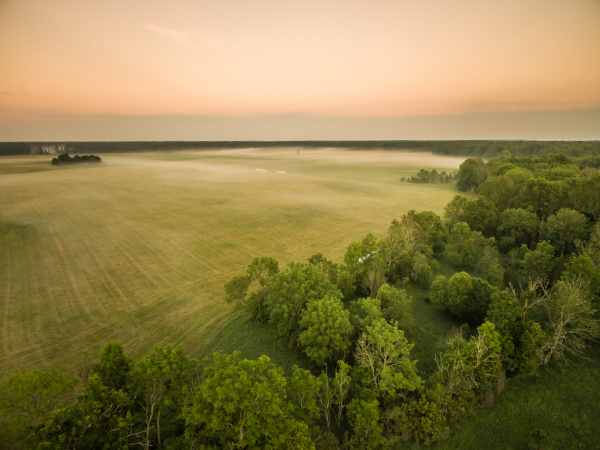 aerial view of foggy meadow in