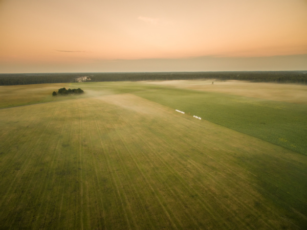 aerial view of foggy meadow in