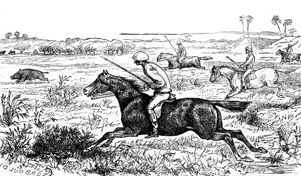 gallop vintage engraving