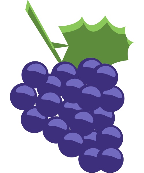 a grapes of sinai vector
