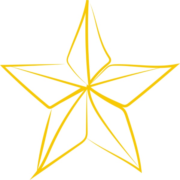 golden star illustration vector
