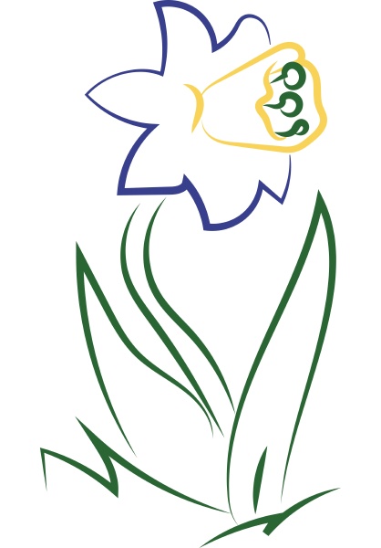 flower drawing illustration vector