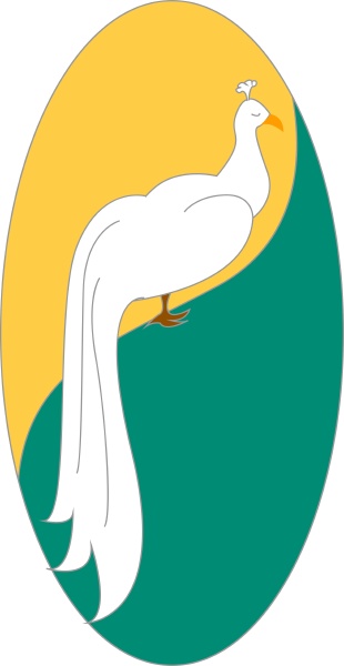 white peacock illustration vector