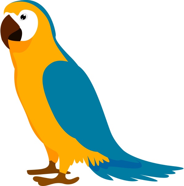 parrot illustration vector on