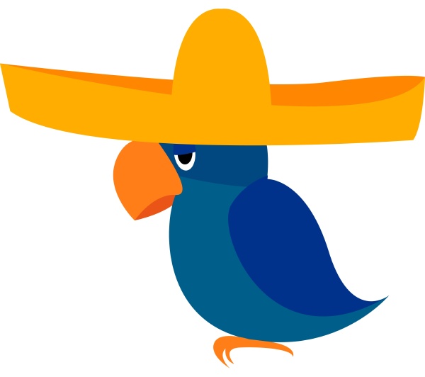 bird with hat illustration