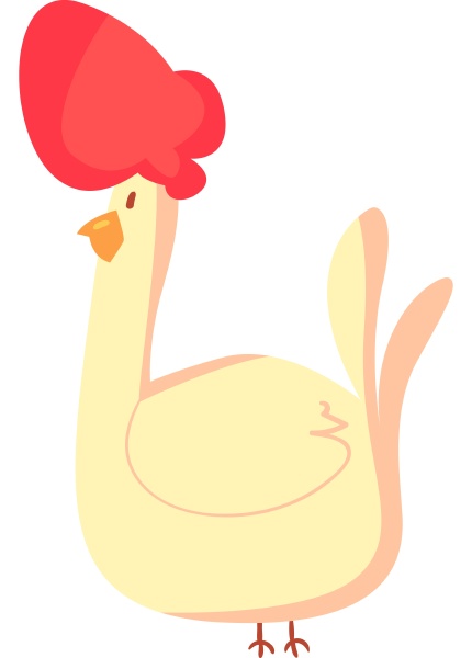 chicken illustration vector on