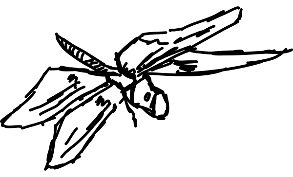 dragonfly sketch illustration vector