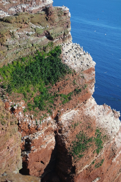 rock cliff on helgoland
