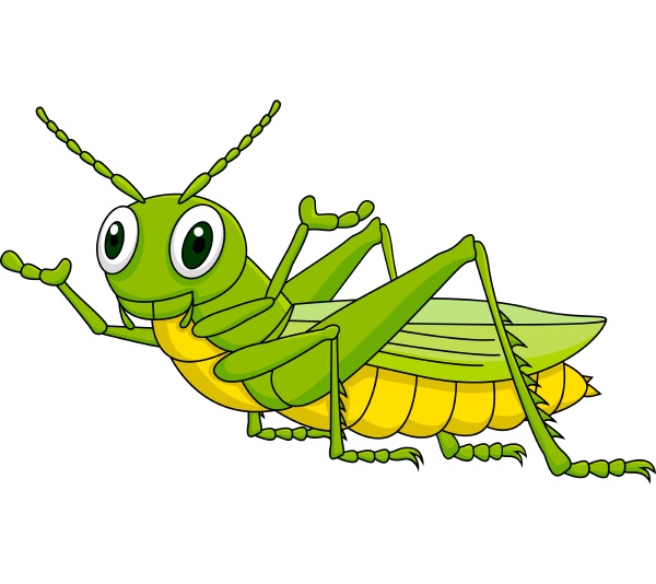 Green grasshopper cartoon - Royalty free photo #28007724 | PantherMedia ...