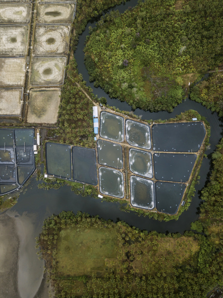 aerial view of shrimp farm