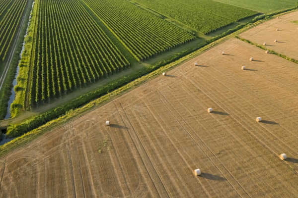 aerial view of hay bales at